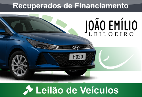 <center><big><b>LEILÃO de AUTOMÓVEIS</b></center> <center></big>Recuperados de Financiamento<br> </center>