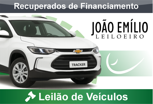 <center><big><b>LEILÃO de AUTOMÓVEIS</b></center> <center></big>Recuperados de Financiamento<br> </center>